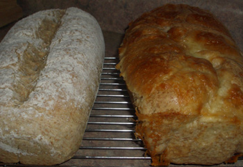 100% Whole wheat bread